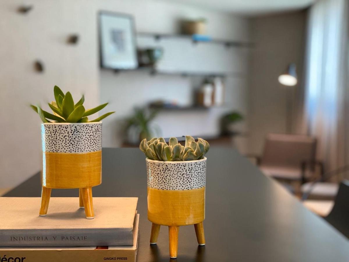 Radisson Oscar Freire Hotel São Paulo Luaran gambar Succulents in a home